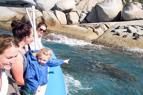 Seal Island Boat Tour From Victor Harbor - Brisbane Tourism 4