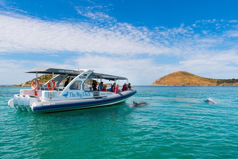 Southern Ocean Adventure From Victor Harbor - Brisbane Tourism 1