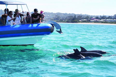 Southern Ocean Adventure From Victor Harbor - Brisbane Tourism 2