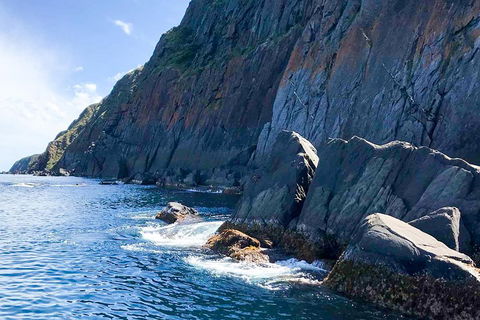 Southern Ocean Adventure From Victor Harbor - Brisbane Tourism 3