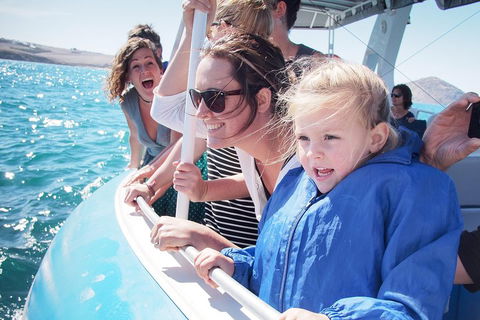 Southern Ocean Adventure From Victor Harbor - Brisbane Tourism 4