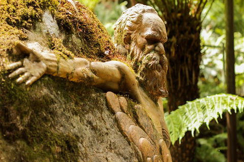 Dandenong Ranges Private Tour Including William Ricketts Sanctuary - Tourism Brisbane 3