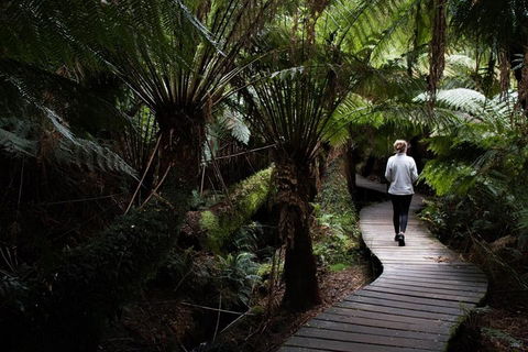 Private Tour Of Melbourne - Tourism Brisbane 2