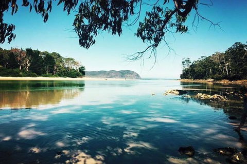Full-Day Guided Bruny Island Tour From Hobart - Tourism Brisbane 1