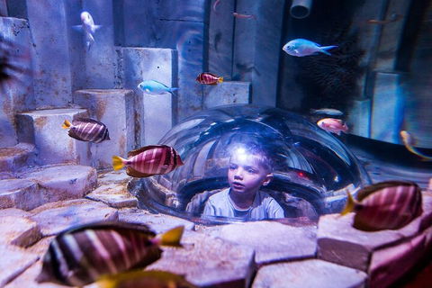 Melbourne BIG Ticket - LEGOLAND Discovery And SEA LIFE Melbourne - Tourism Brisbane 5