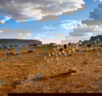 Mount Conner 4WD Small Group Tour from Ayers Rock including Dinner - Tourism Brisbane