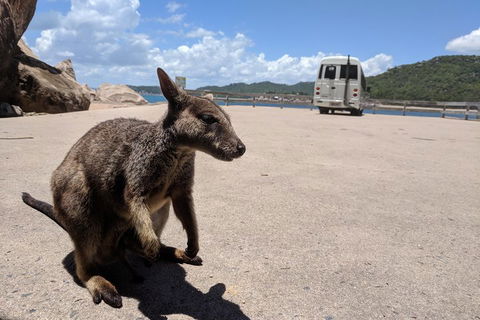 Magnetic Island Tour: Maggie Comprehensive - Tourism Brisbane 0