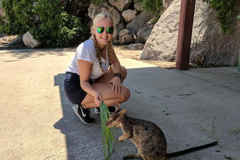 Magnetic Island Tour: Maggie Comprehensive - Tourism Brisbane 2