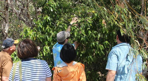 Magnetic Island Tour: Maggie Comprehensive - Tourism Brisbane 4
