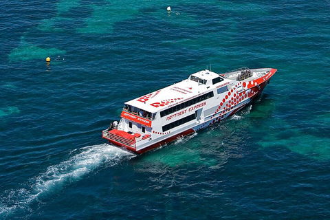 Discover Rottnest With Ferry & Bus Tour From Perth Or Fremantle - Tourism Brisbane 3