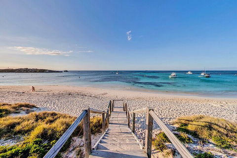 Discover Rottnest With Ferry & Bus Tour From Perth Or Fremantle - Tourism Brisbane 4