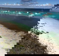 Experience Rottnest with Ferry  Bike Hire from Perth or Fremantle - Tourism Brisbane
