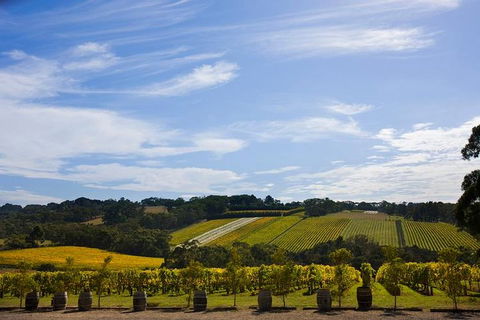 Mornington Peninsula Day Trip From Melbourne - Tourism Brisbane 5