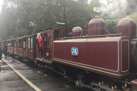 Puffing Billy, Moonlit Sanctuary & Penguins Day Tour - Tourism Brisbane 4