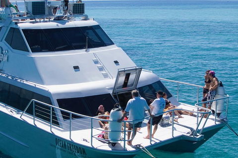 Ocean Freedom Great Barrier Reef Personal Luxury Snorkel & Dive Cruise, Cairns - Brisbane 4u 1