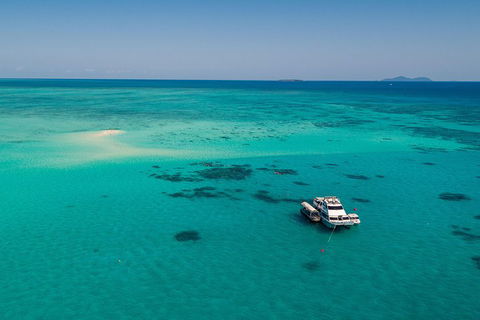 Ocean Freedom Great Barrier Reef Personal Luxury Snorkel & Dive Cruise, Cairns - Brisbane 4u 2