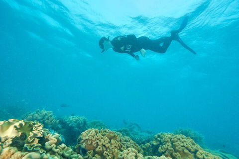 Ocean Freedom Great Barrier Reef Personal Luxury Snorkel & Dive Cruise, Cairns - Brisbane 4u 5