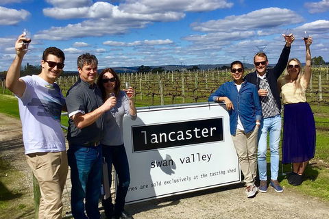 Swan Valley Tour From Perth: Wine, Beer And Chocolate Tastings - Tourism Brisbane 1