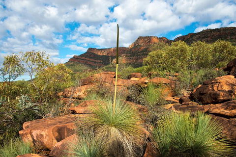 6-Day Eyre Peninsula & Flinders Ranges Adventure Tour - Tourism Brisbane 1