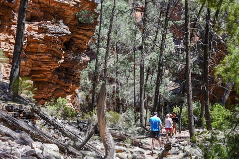 6-Day Eyre Peninsula & Flinders Ranges Adventure Tour - Tourism Brisbane 5