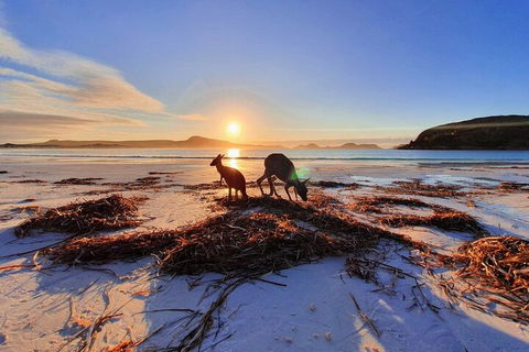 10-Day Perth To Adelaide Adventure Tour - Tourism Brisbane 1