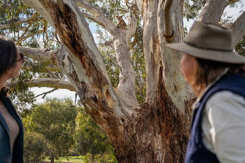 NEW TOUR - Kangaroo Island Road To Recovery Tour (1 Day/1 Night) - Tourism Brisbane 0