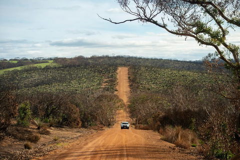 NEW TOUR - Kangaroo Island Road To Recovery Tour (1 Day/1 Night) - Tourism Brisbane 2