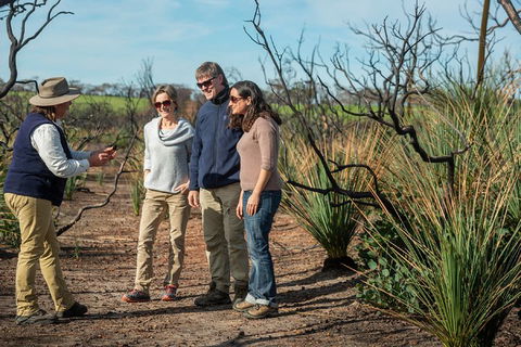 NEW TOUR - Kangaroo Island Road To Recovery Tour (1 Day/1 Night) - Tourism Brisbane 4