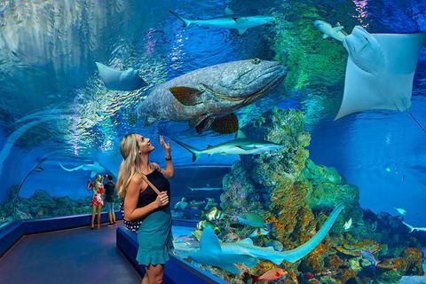Cairns Aquarium Admission Ticket - Tourism Brisbane 3