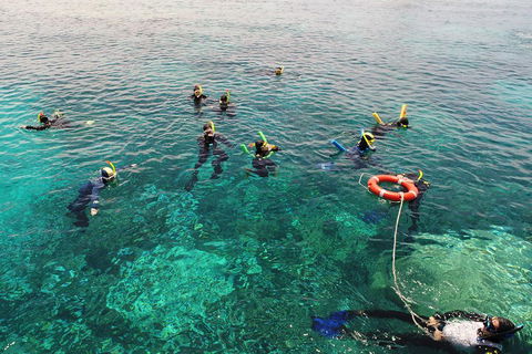 Seastar Luxury Outer Great Barrier Reef Island And Reef Tour From Cairns - Tourism Brisbane 2