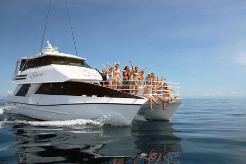 Seastar Luxury Outer Great Barrier Reef Island And Reef Tour From Cairns - Tourism Brisbane 4