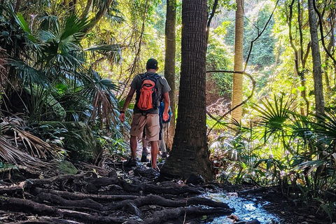 Hike To The Figure Eight Pools - Tourism Brisbane 0