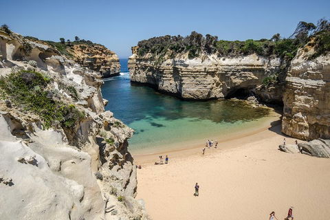 Great Ocean Road Reverse Itinerary With 12 Apostles From Melbourne - Tourism Brisbane 5