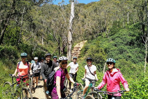 Mount Lofty Descent Bike Tour From Adelaide - Tourism Brisbane 5