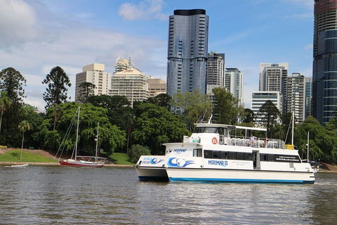 Lone Pine Koala Sanctuary Admission With Brisbane River Cruise - Tourism Brisbane 2