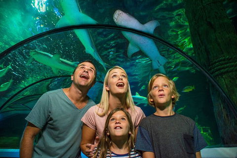 SEA LIFE Sunshine Coast Aquarium Entrance Ticket - Tourism Brisbane 3