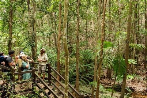 Fraser Explorer K'gari 2-Day Tour - Brisbane 4u 5
