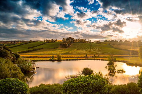 Josef Chromy Wines Winery Tour Including Tasting And Lunch - Brisbane Tourism 3