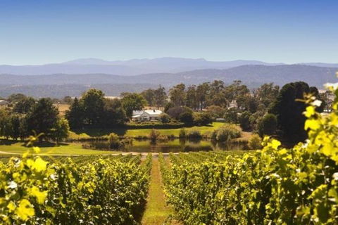 Josef Chromy Wines Winery Tour Including Tasting And Lunch - Brisbane Tourism 4