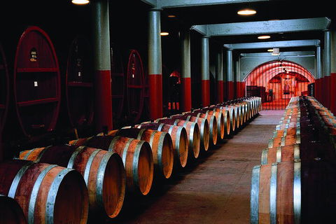 Penfolds Magill Estate Iconic Experience - Tourism Brisbane 4