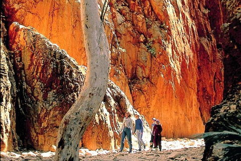 West MacDonnell Ranges Day Trip From Alice Springs - Tourism Brisbane 3