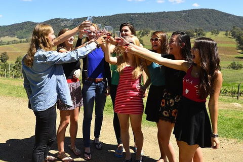 Hunter Valley Wine Tour From Sydney Incl Lunch, Cheese, Chocolate And Distillery - Tourism Brisbane 3