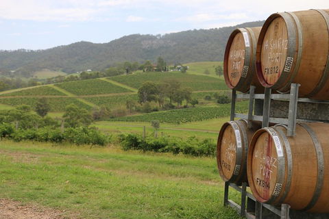 Hunter Valley Wine Tour From Sydney Incl Lunch, Cheese, Chocolate And Distillery - Tourism Brisbane 5