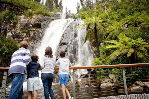 Lake Mountain Snow Trip Including Yarra Valley Chocolaterie From Melbourne - Tourism Brisbane 0