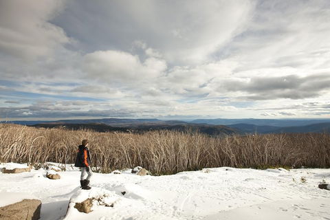 Lake Mountain Snow Trip Including Yarra Valley Chocolaterie From Melbourne - Tourism Brisbane 5