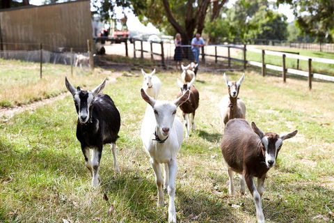 Mornington Peninsula Farm Produce Wine And Cider Tour - Tourism Brisbane 3