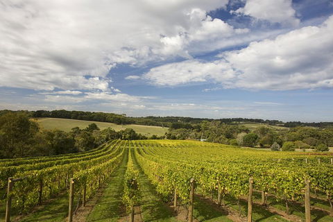 Mornington Peninsula Farm Produce Wine And Cider Tour - Tourism Brisbane 5