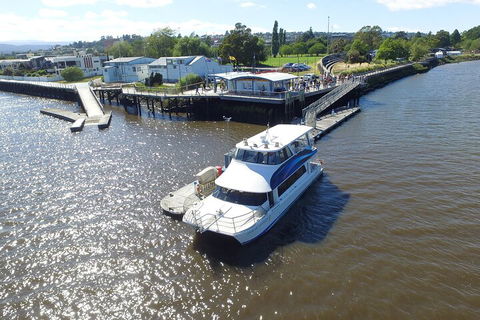 2.5 Hour Morning Discovery Cruise Including Sailing Into The Cataract Gorge - Brisbane Tourism 3