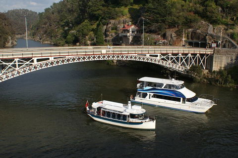 2.5 Hour Morning Discovery Cruise Including Sailing Into The Cataract Gorge - Brisbane Tourism 5