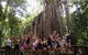 Atherton Tablelands Waterfalls Tour From Cairns - thumb 5